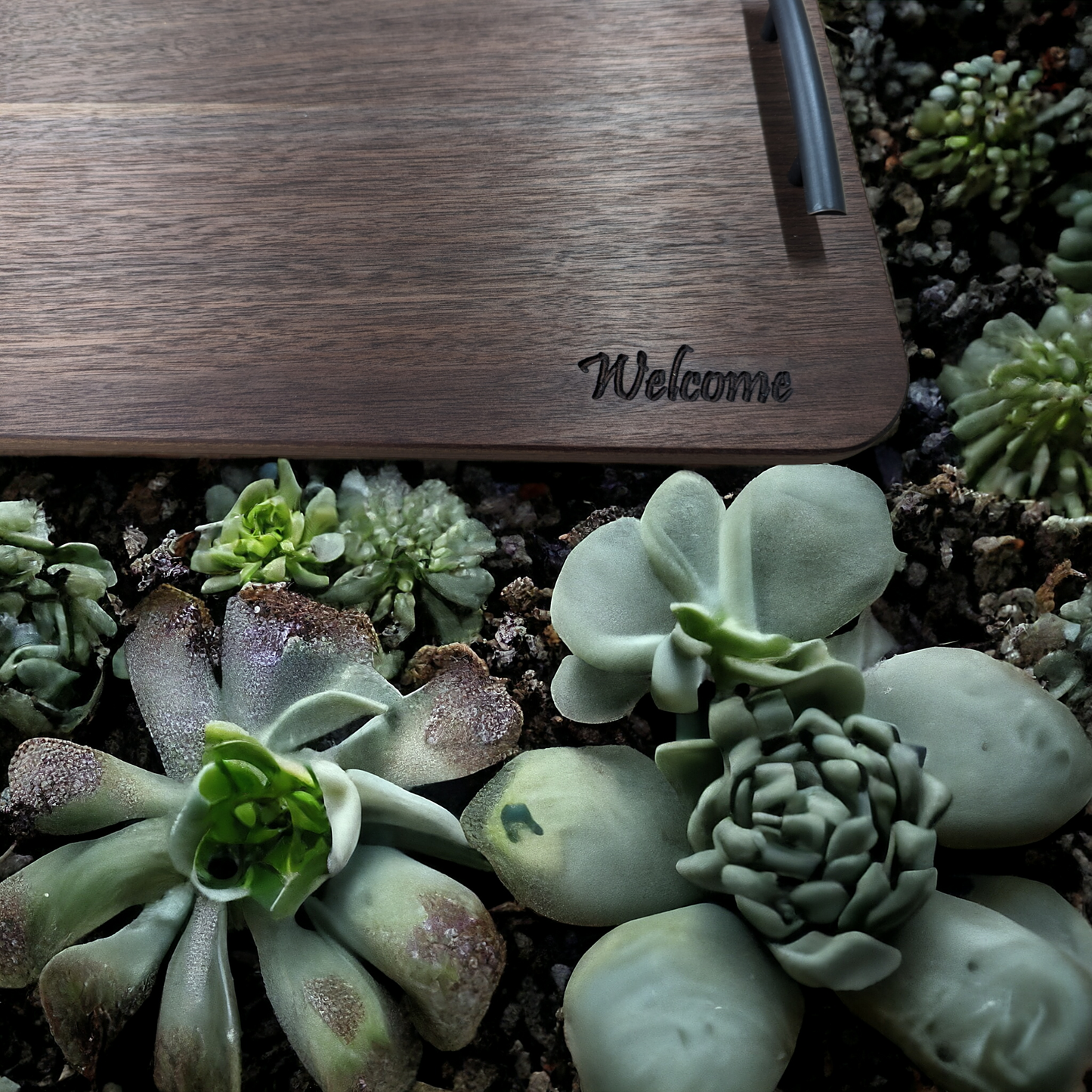 Walnut Handled Charcuterie Board