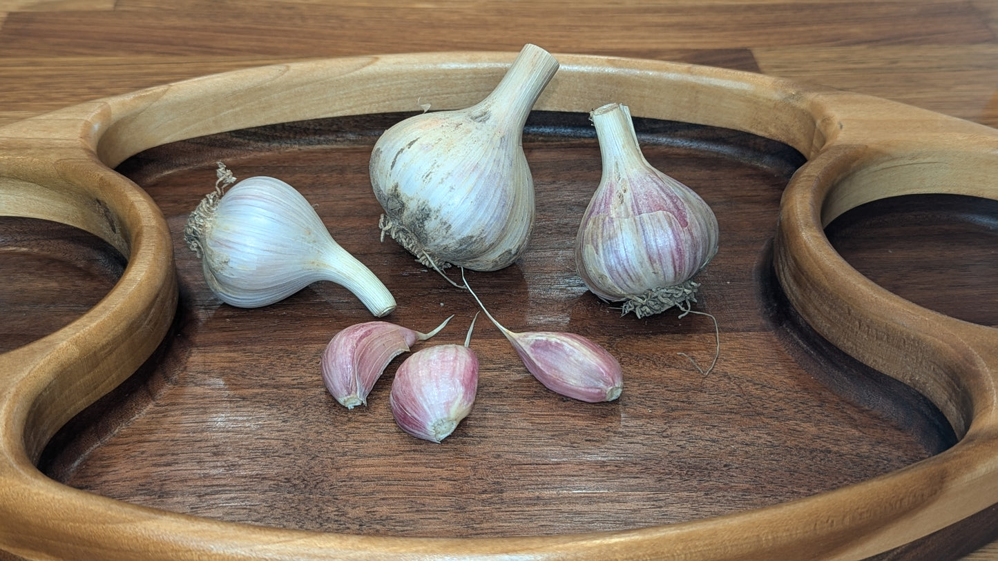 Fresh Garlic