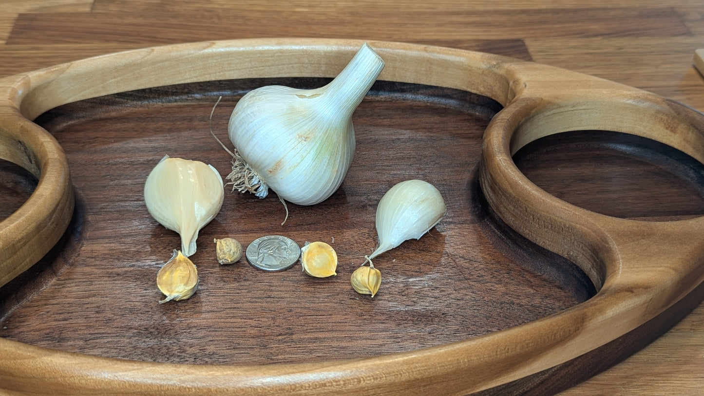 Fresh Garlic