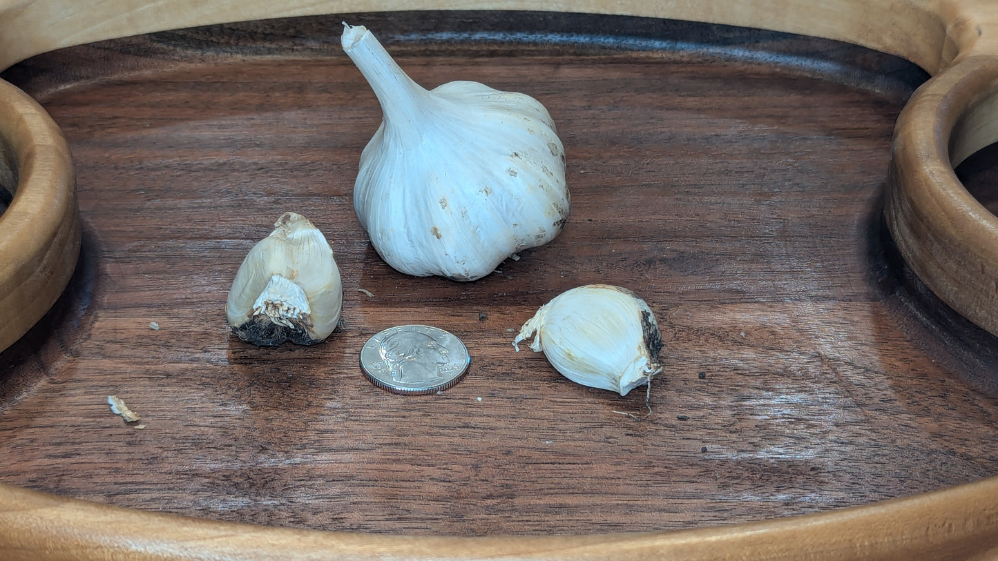 Fresh Garlic